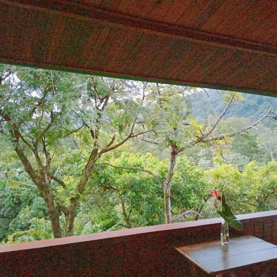 Casa Miramar Villa Uvita Bagian luar foto